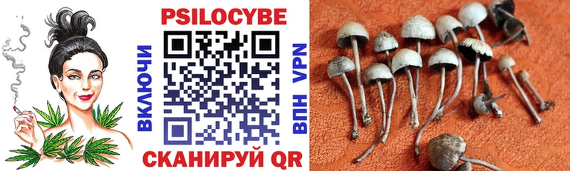 Купить  Солнечногорск  Галлюциногенные грибы Magic Shrooms 